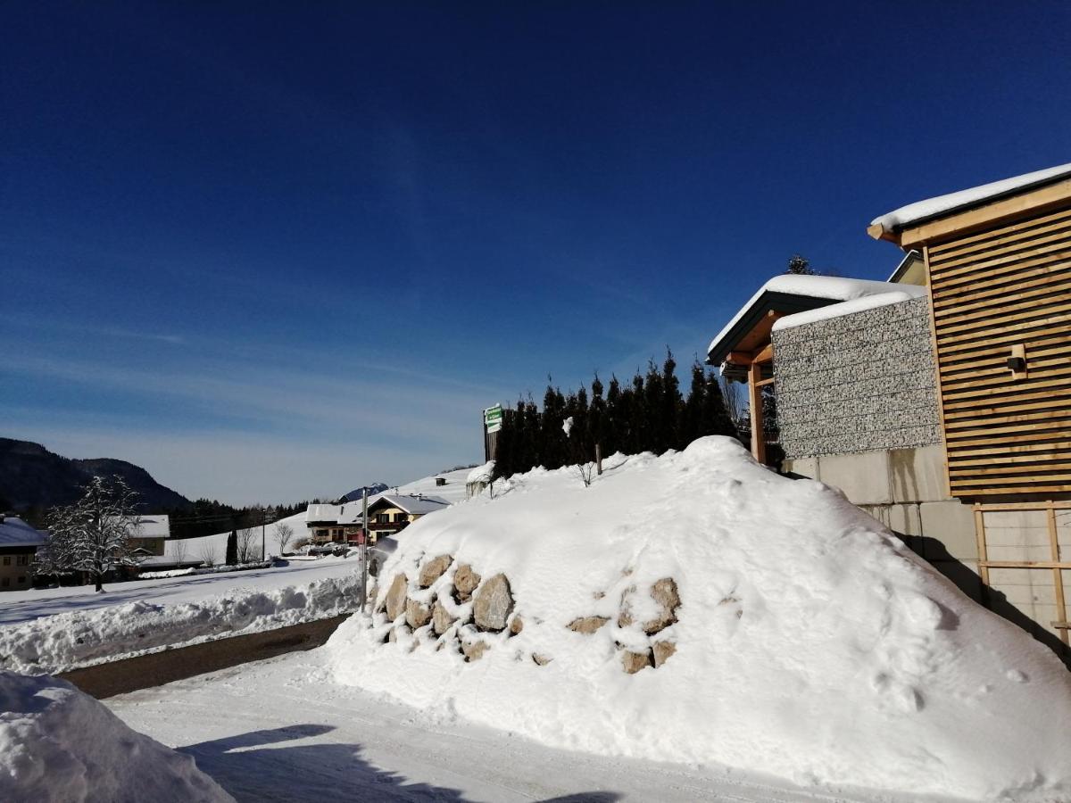 Auszeit Am Weinbuehel Apartment Бад Ишл Екстериор снимка