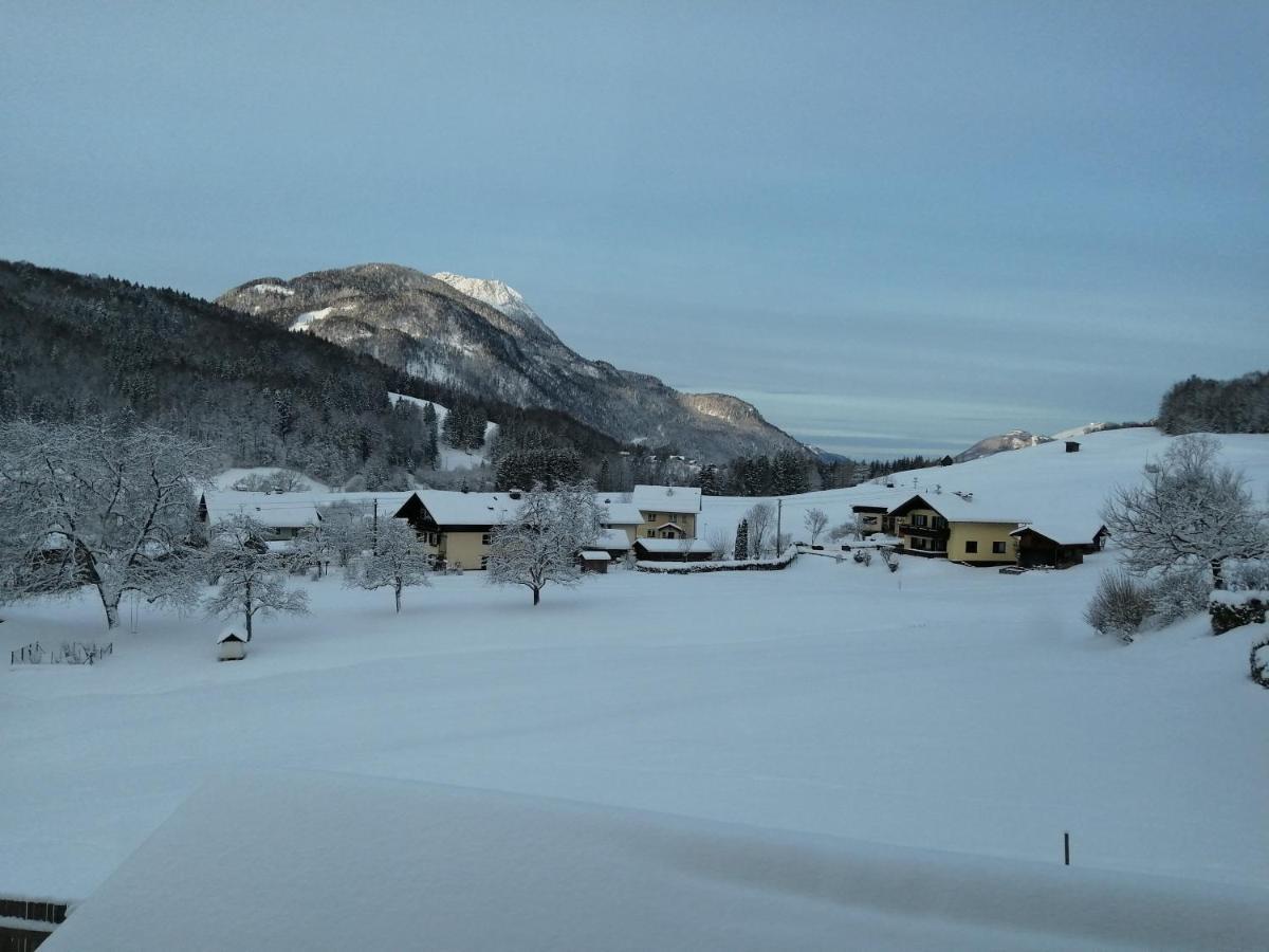 Auszeit Am Weinbuehel Apartment Бад Ишл Екстериор снимка